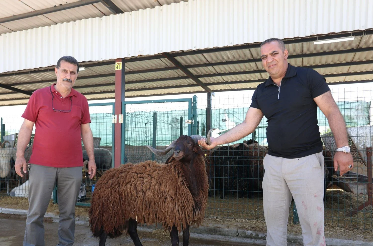 İnegöl Hayvan Pazarı’nda 4 bine yakın kurbanlık satıldı