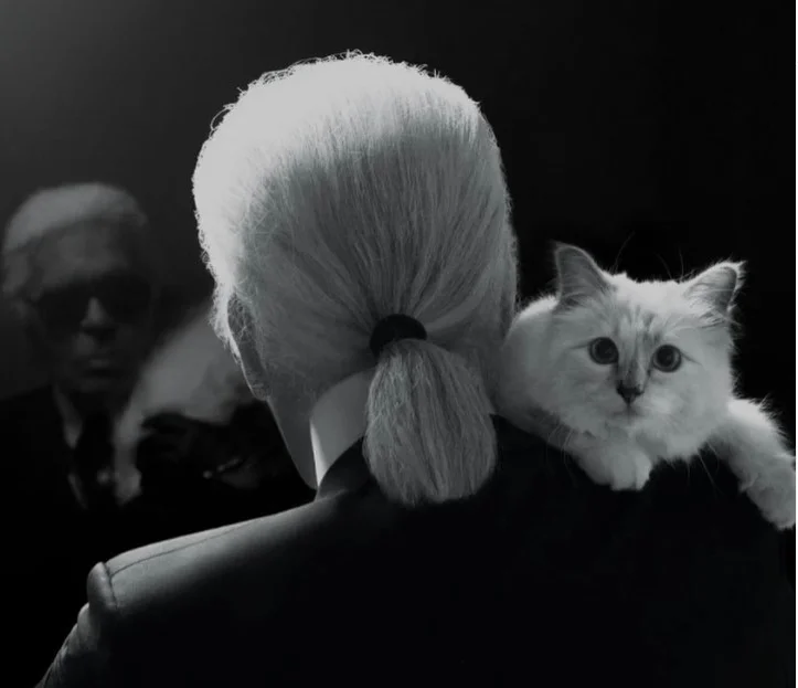 Karl Lagerfeld'in kedisi Choupette, 1,7 milyon Euro'luk mirasa ulaşamadı