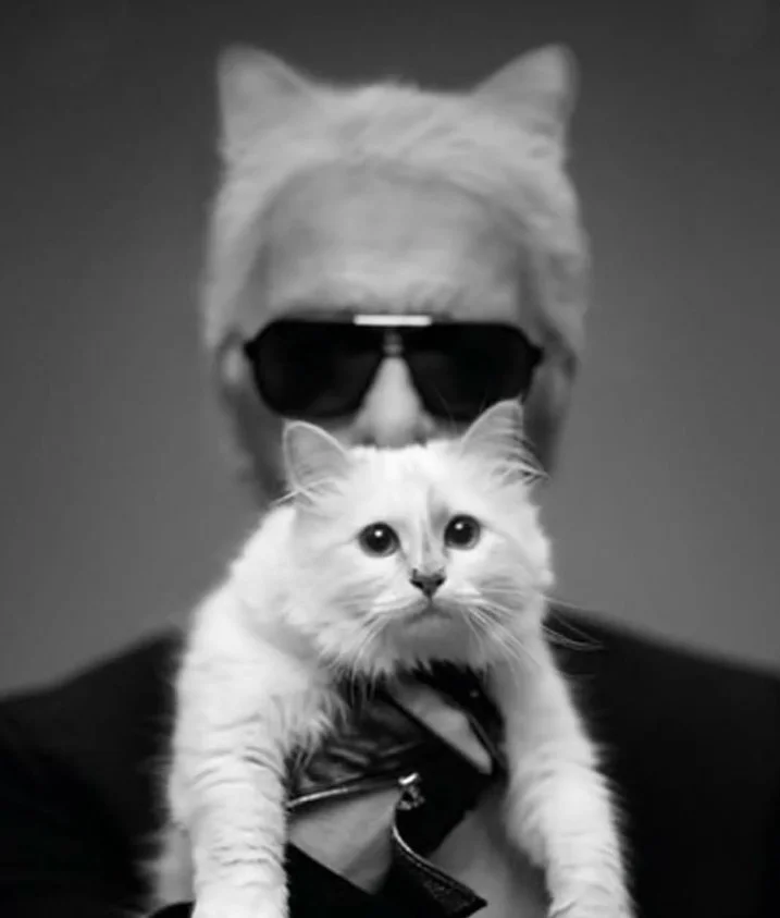 Karl Lagerfeld'in kedisi Choupette, 1,7 milyon Euro'luk mirasa ulaşamadı