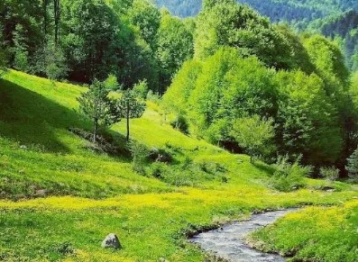 İnegöl’de nerede mangal yapılır? Mangal ve piknik yapılacak en güzel yerler