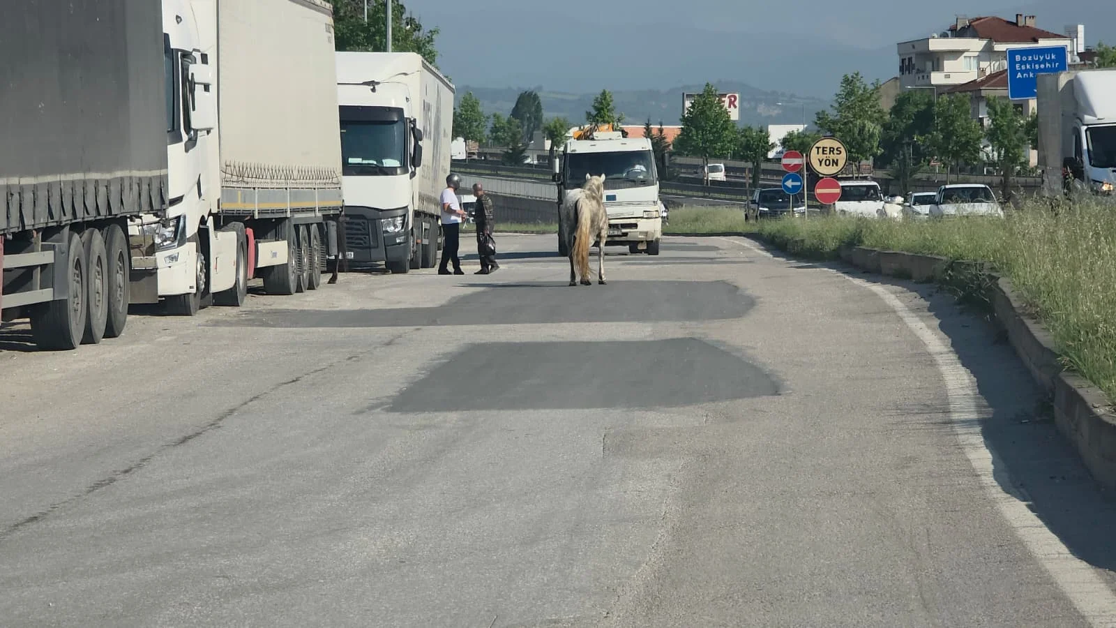 İnegöl'de trafiğe girdi, ortalık karıştı İnegöl'de trafiğe girdi, ortalık karıştı