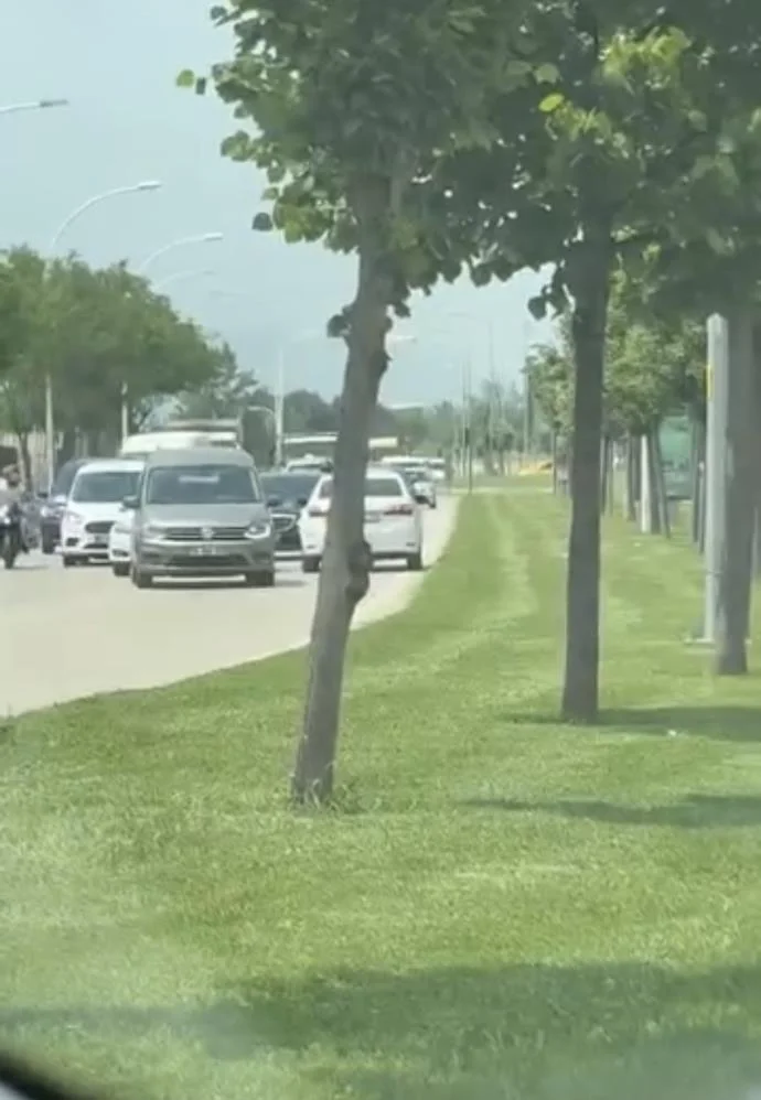 Karşıdan gelen araçlara aldırmadı, ters yönde devam etti