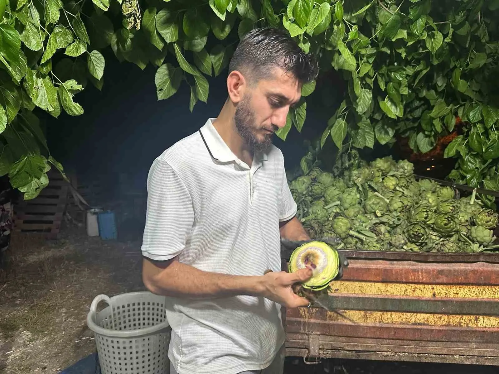 Ailecek enginar soyucular: Soyması 10 saniye sürüyor