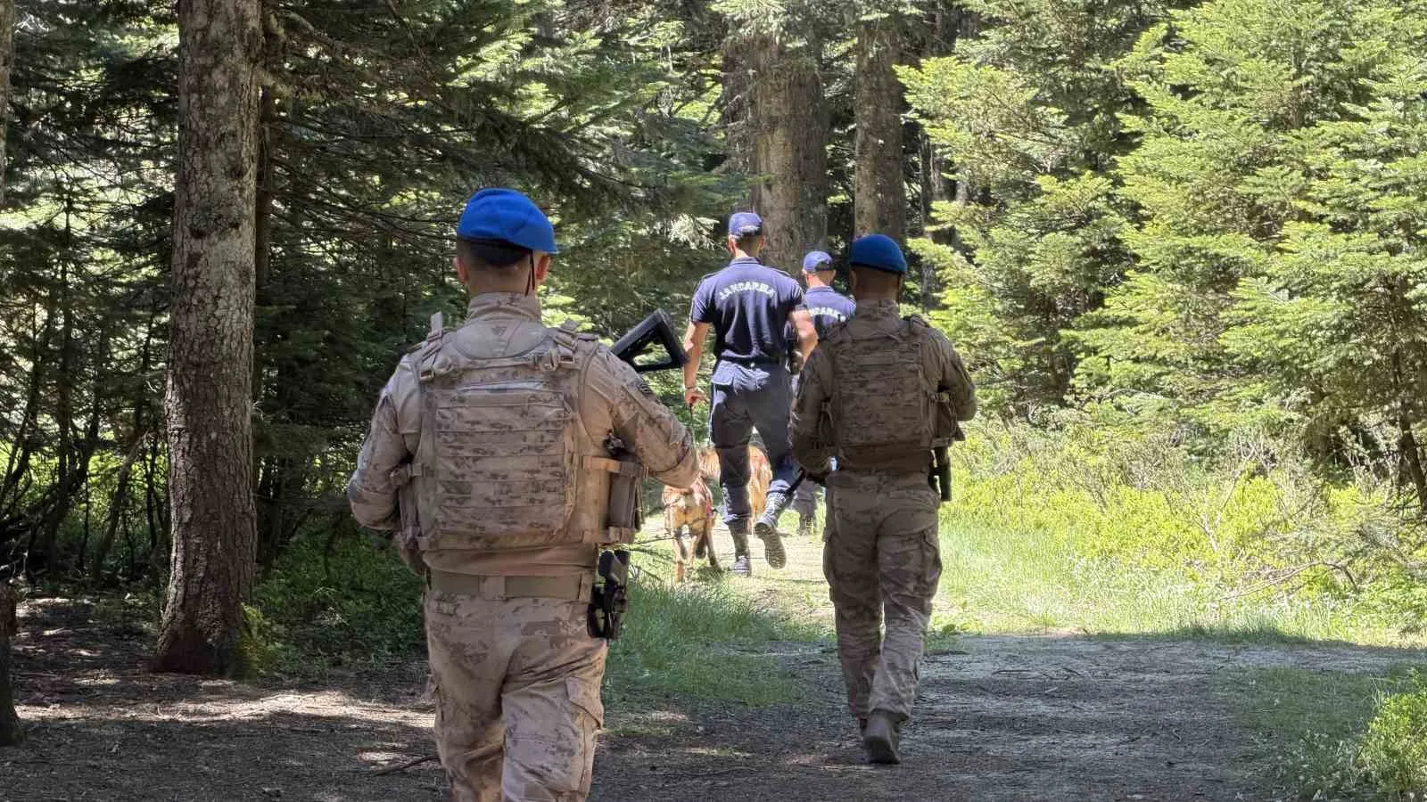 Uludağ’ın zümrüt yeşili ormanları Jandarma’ya emanet