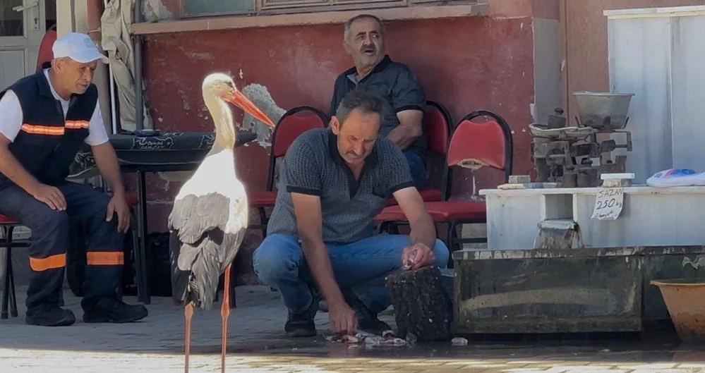 Yaren’in hikayesine rakip oldu! Kahvehanede arkadaşlarını ziyaret ediyor