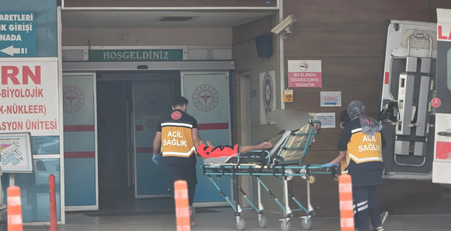 İnegöl'de tarlada çalışırken hastanelik oldu