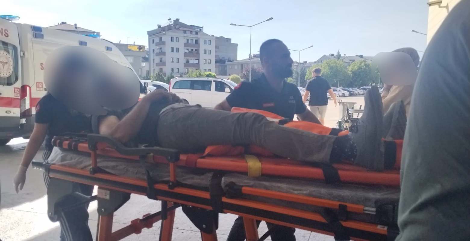 Ormanda kestiği ağaç üzerine düştü