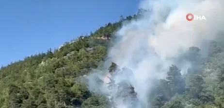 Bursa'da orman yangını! Ekiplerin müdahalesi sürüyor