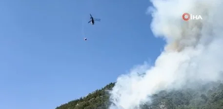 Bursa'da orman yangını! Ekiplerin müdahalesi sürüyor