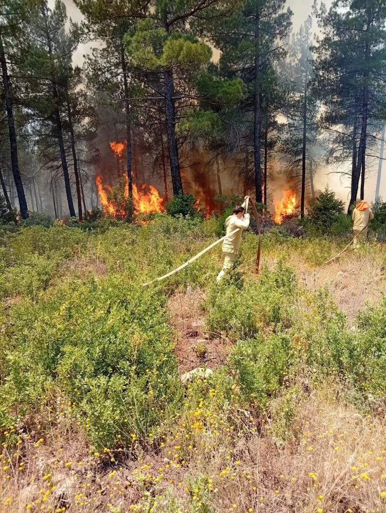 Bursa'da Korkutan Orman Yangını! Havadan ve Karadan Müdahale Sürüyor
