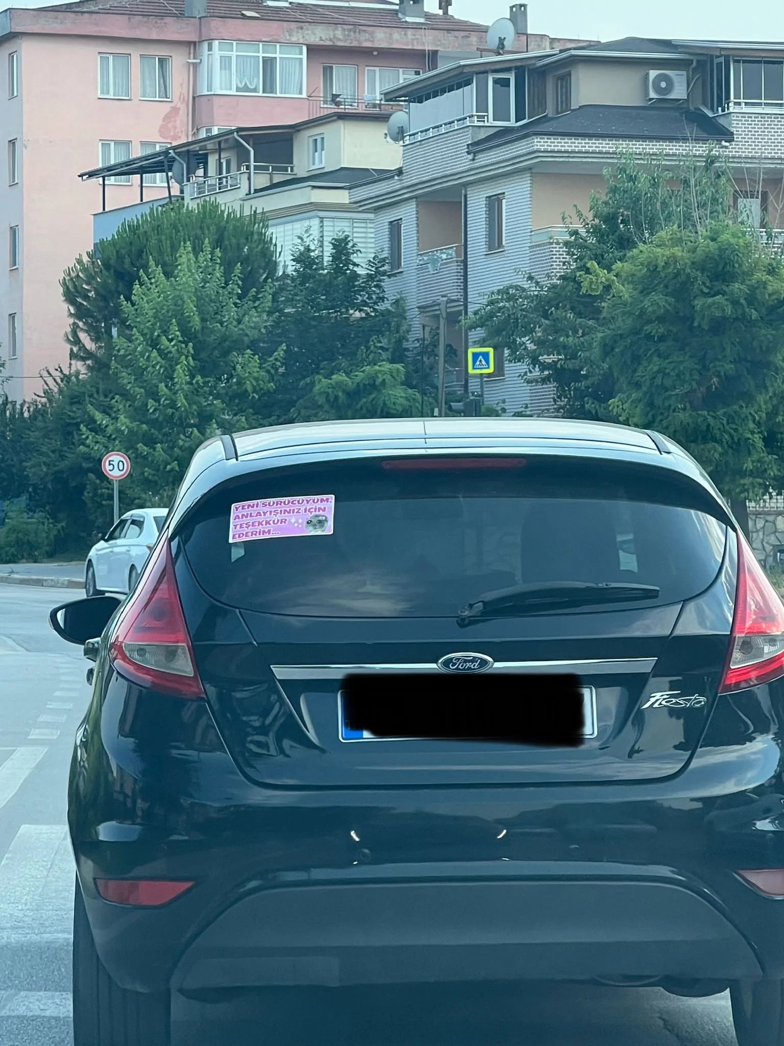 Kadın sürücü trafiğe bu yazıyla çıktı