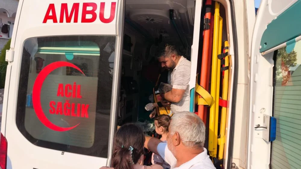 İnegöl'de yangında mahsur kalan anne ve yavruları hayata döndürüldü