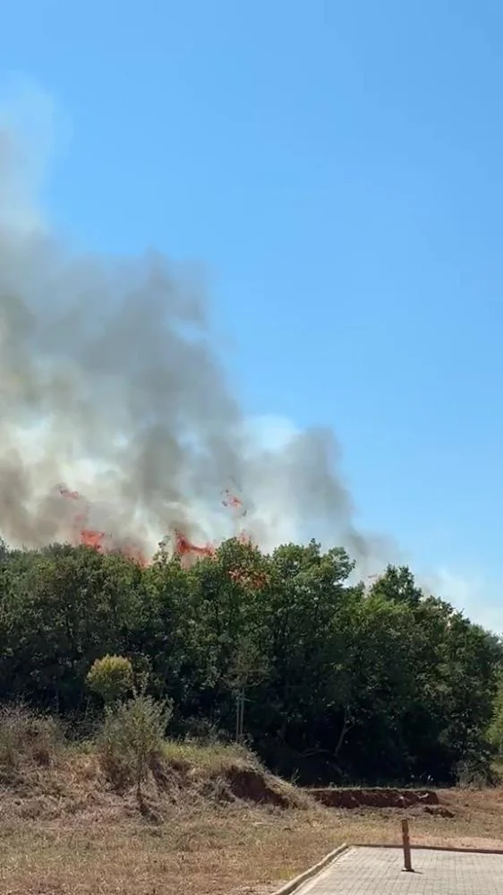 Bursa'da Orman Yangını! Ekipler Alevlere Karadan Müdahale Ediyor