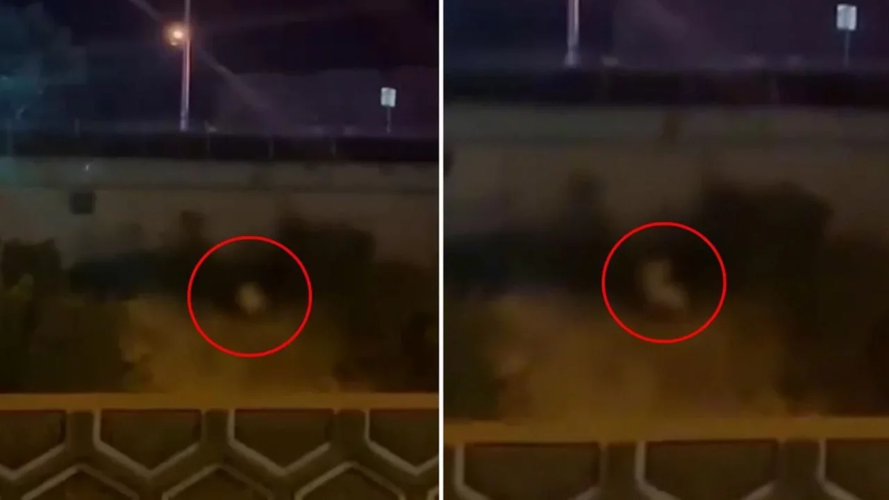 Yol kenarında skandal görüntüler! Kimseye aldırış etmediler