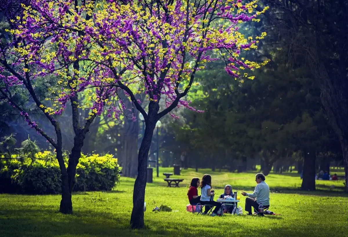 Bursa'da Hafta Sonu Piknik Yapılacak En Güzel 7 Yer