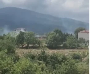 İnegöl Yeniceköy'de Orman Yangını! Bölgeye Ekipler Sevk Edildi