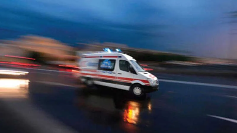 Mobilya ustasını eşek arısı soktu doğum gününde hayatını kaybetti