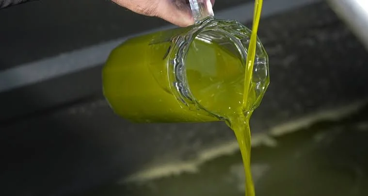 Tarım Bakanlığı İfşa Etti! Bu 3 Zeytinyağı Markasında Hile Tespit Edildi