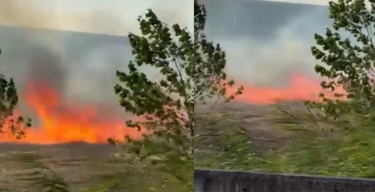 Fabrikanın yanındaki boş arazide korkutan yangın