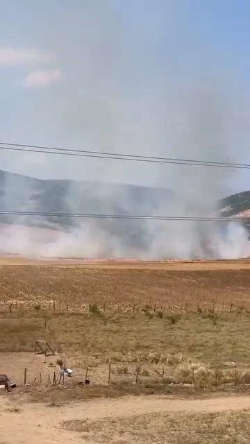 İnegöl'de tarlayı ateşe veren şüpheli çocuk hakkında flaş gelişme!