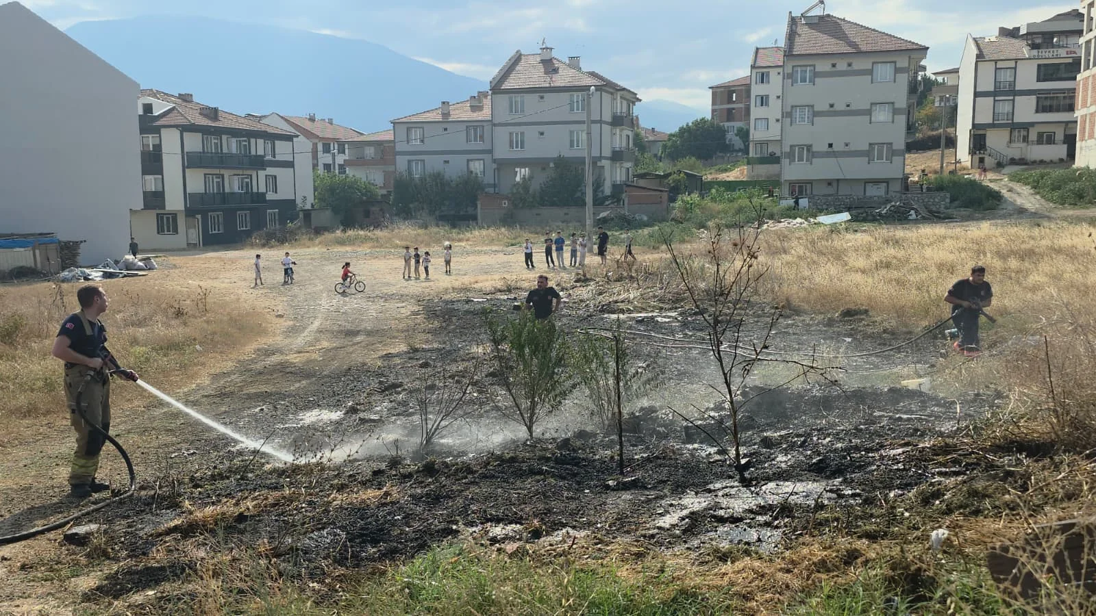 İnegöl'de ayçiçek tarlası son anda kurtuldu İnegöl'de ayçiçek tarlası son anda kurtuldu