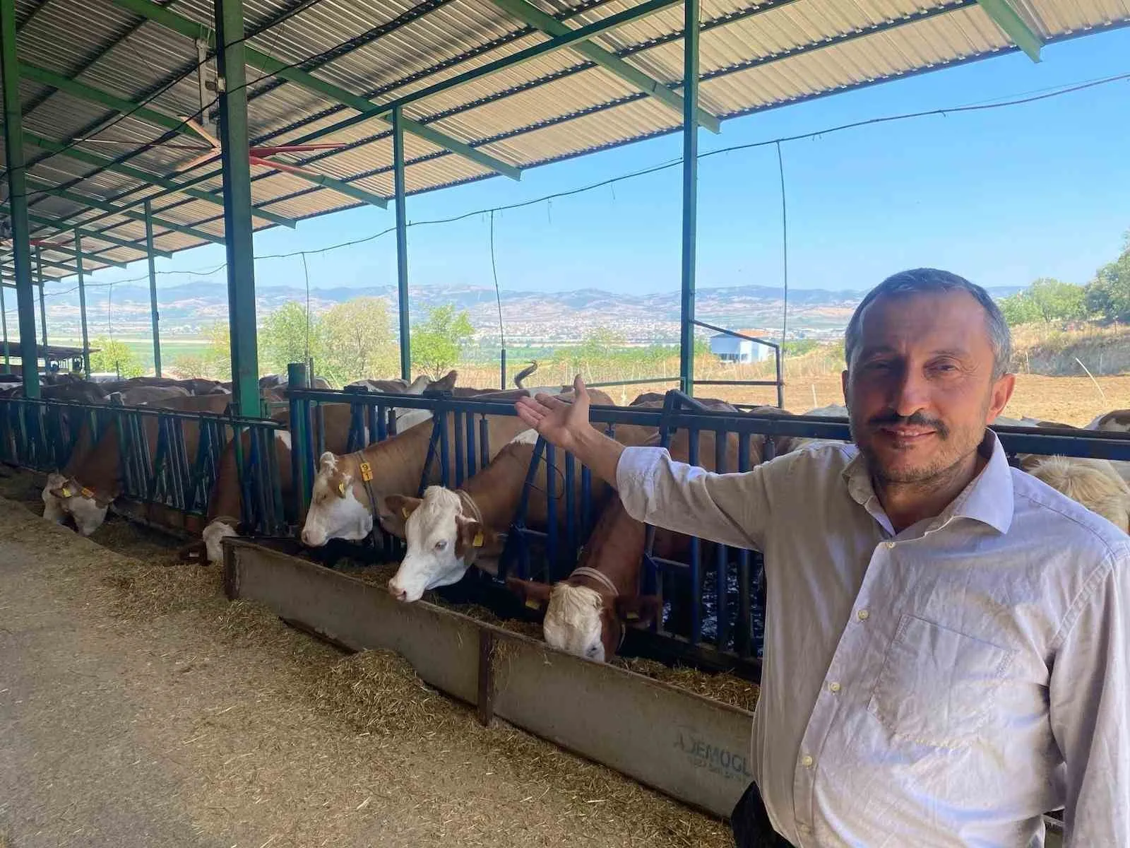 Yapay zeka ile süt üretimi nasıl yapılıyor? Bursa’daki çiftlikten örnek