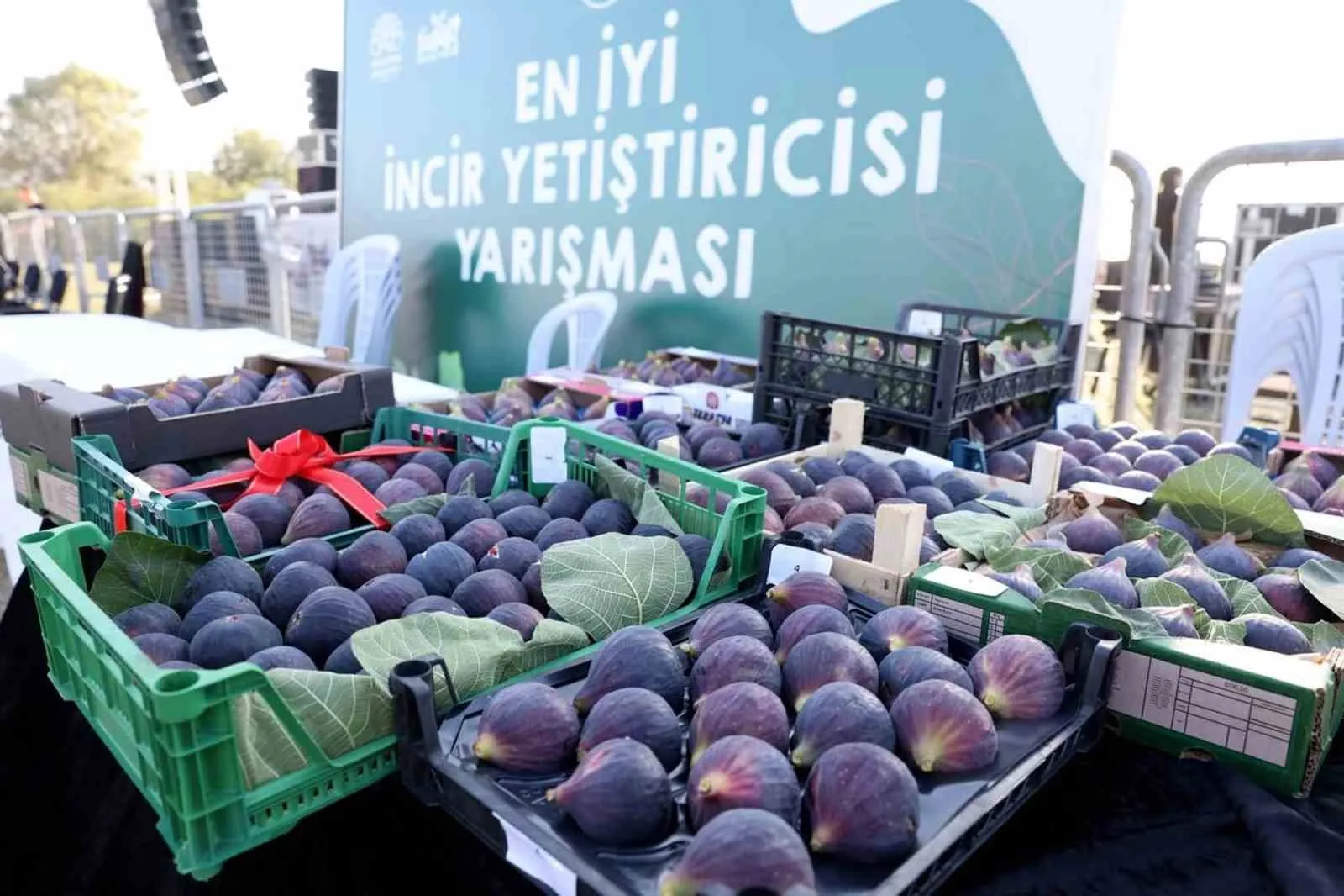 12. Akçalar Fadıllı İncir Festivali 13 Eylül’de Akçalar Göl Kıyısı’nda