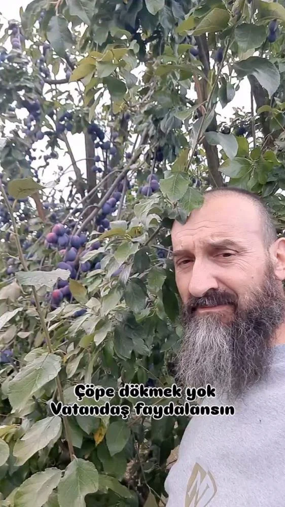 İnegöl’de tonlarca erik elinde kalacaktı! Bulduğu çözüm viral oldu