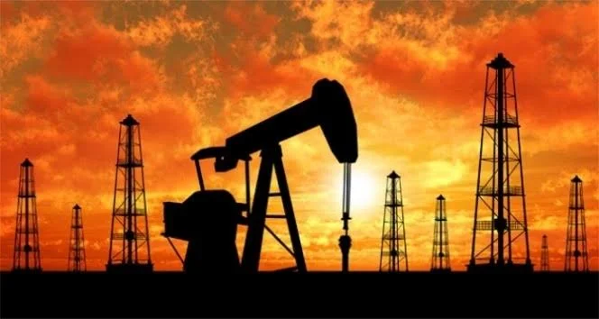 Bir ilimizde daha petrol bulundu Bakan müjdeyi açıkladı